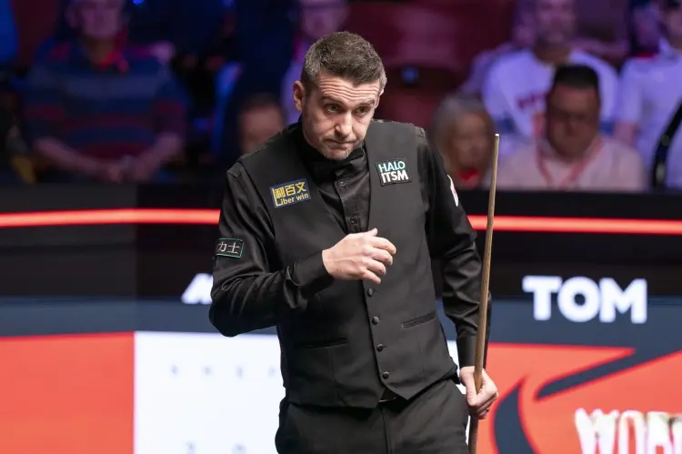 轮次, entit 轮次, entit